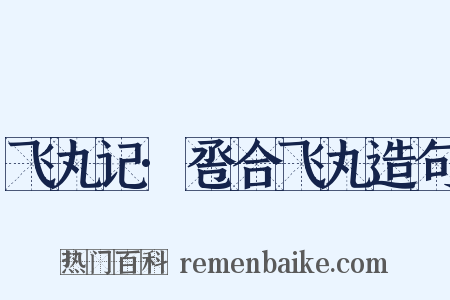 飞丸记·卺合飞丸造句是什么意思的图片